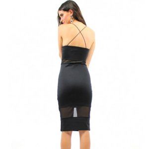 NWT Wild Heart Mesh Dress by Lioness